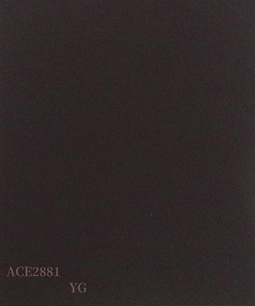 ACE2881（YG）