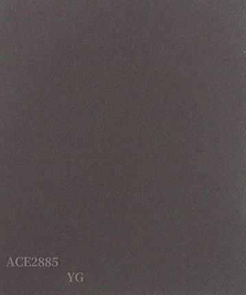 ACE2885(YG)